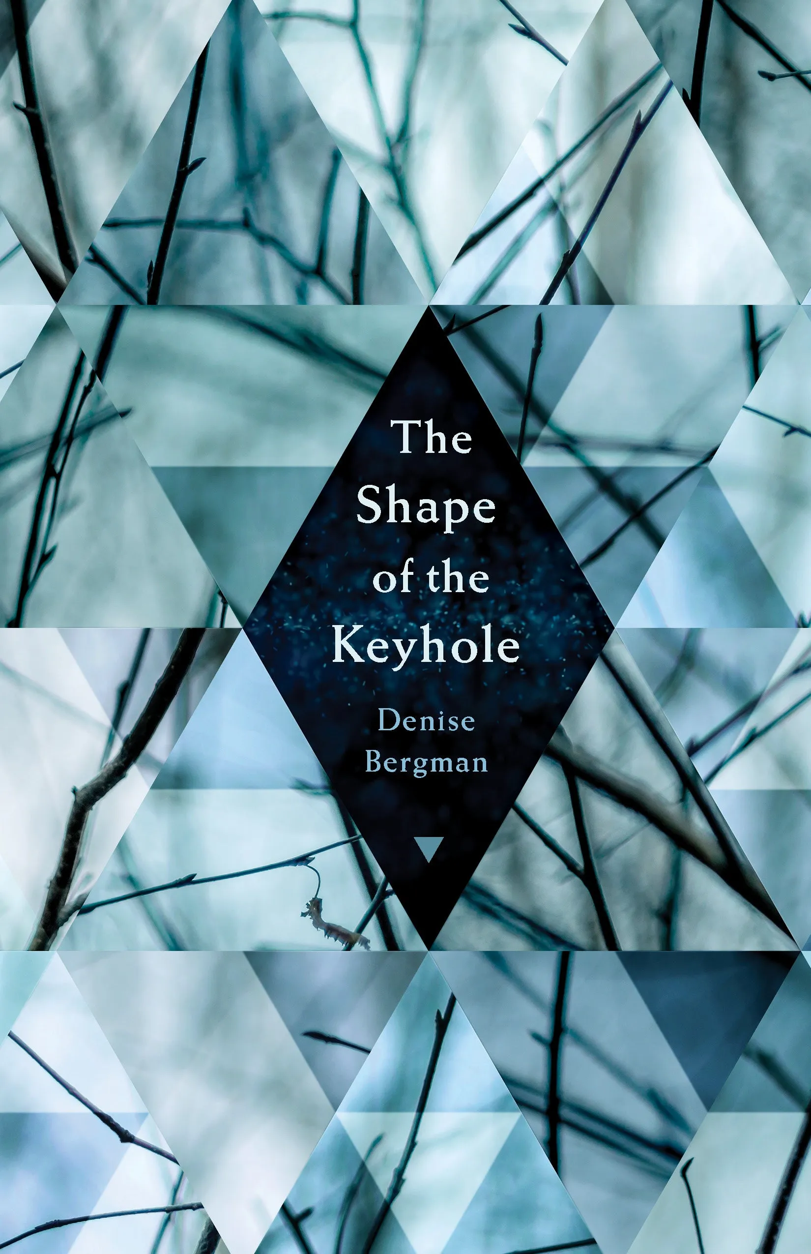 Bergman, Denise: The Shape of the Keyhole