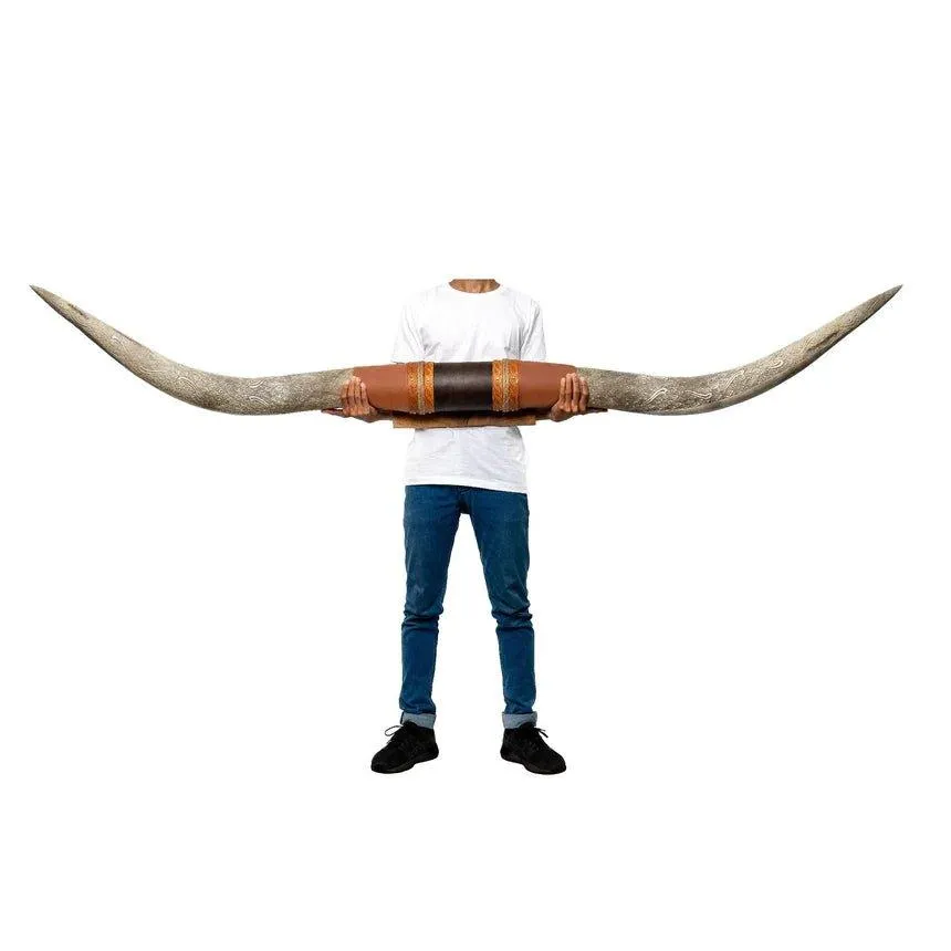 Bold Ruler Carved Longhorns Mount XL