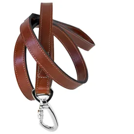 Hamilton Dog Leash in Rich Brown & Nickel