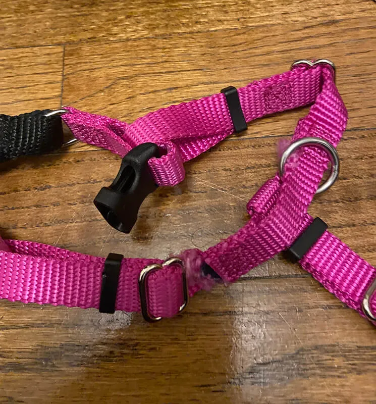 Harness Chew Warranty by Pet Expertise