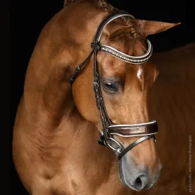 Malvern Saddlery BRONZINI Bridle